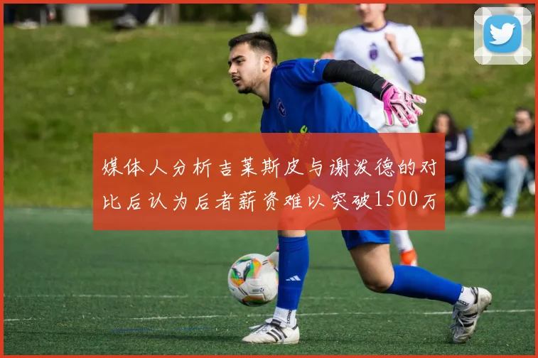 媒体人分析吉莱斯皮与谢泼德的对比后认为后者薪资难以突破1500万